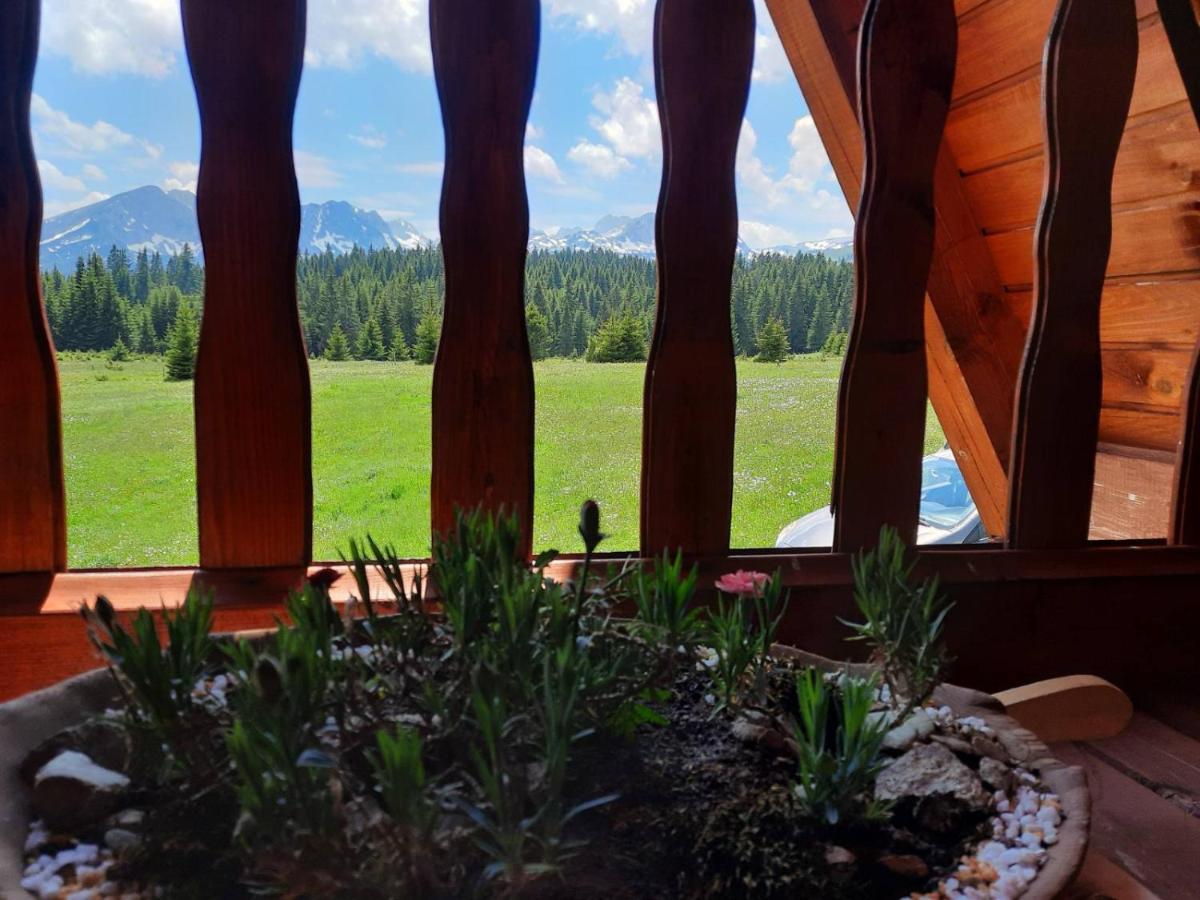 Holiday Home Jabucilo Žabljak エクステリア 写真