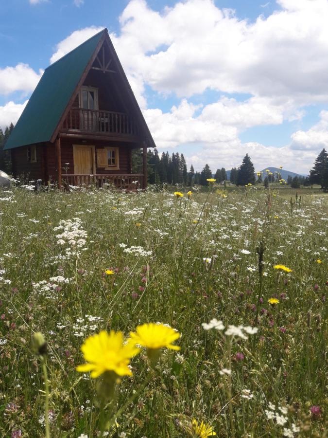 Holiday Home Jabucilo Žabljak エクステリア 写真